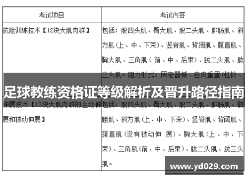 足球教练资格证等级解析及晋升路径指南